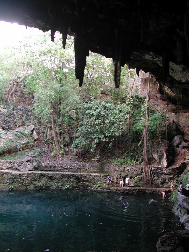 View of Cenote Zací. Stalactites and vines hang from above. A few swimmers can be seen near the edge of the pool. A path leads upwards through the trees.